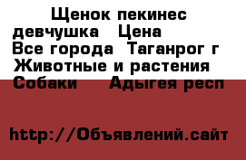 Щенок пекинес девчушка › Цена ­ 2 500 - Все города, Таганрог г. Животные и растения » Собаки   . Адыгея респ.